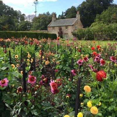 爱游戏全站APP下载下载手机版