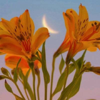 爱游戏全站APP下载下载手机版截图